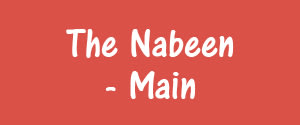 The Nabeen, Main, Odia