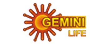 Advertising in Gemini life