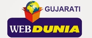 WebDuniya Gujarati, Website