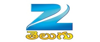 Zee Telugu, Website Advertising Rates