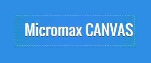 Micromax CANVAS, Website