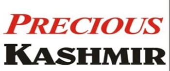 Advertising in Precious Kashmir, Main, English Newspaper