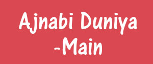 Ajnabi Duniya, Main, Hindi