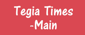 Tegia Times, Main, Punjabi
