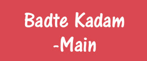 Badte Kadam, Jaipur - Main