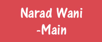 Advertising in Narad Wani, Main, Hindi Newspaper
