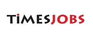 Times Jobs, Website