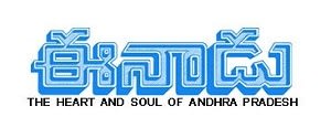 Fixed Size - Premium Media - Advertising in Eenadu, Eenadu Ranga Reddy