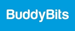 BuddyBits, Website