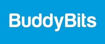 BuddyBits, Website Advertising Rates