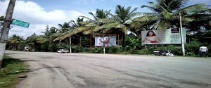 mediaLogo