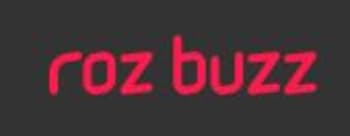 Rozbuzz, Website Advertising Rates
