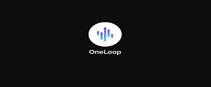 One loop Audio, Website