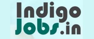 Indigo Jobs, Website