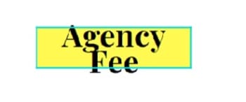 Agency Fee Digital Advertising Rates