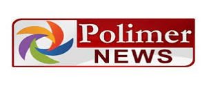 Polimer News, Website