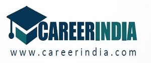 CareerIndia, Website