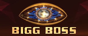 Bigg Boss - Colors