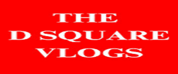 Influencer Marketing with The D Square Vlogs