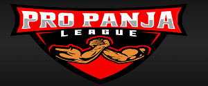 Pro Panja League On Fancode