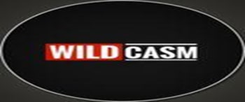 Influencer Marketing with Wildcasm