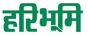 mediaLogo