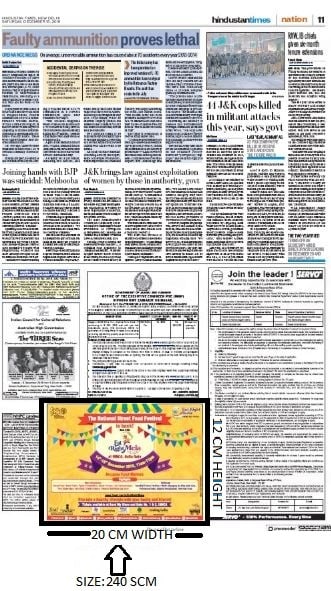 Hindustan Times Delhi Advertising-Custom Sized Advertising-Option 2