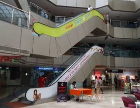 Escalator Wrap - 40 x 2.5 ft