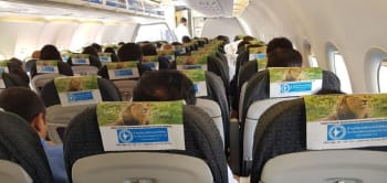 SpiceJet India Airlines-Head Rest Cover Advertising-Option 2 SpiceJet India Airlines-Head Rest Cover Advertising-Option 2