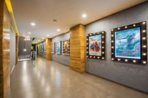 Poster Window Poster Window