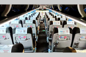 Seat Back