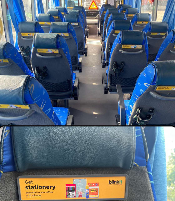 Interior - Seat Back