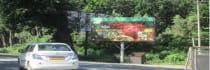 Hoarding -, Mohebbewala, Dehradun, 62602