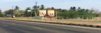Hoarding - Tirunelveli Teachers Colony, 65482