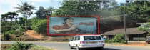 Hoarding - Irumpupalam Chillithodu, 71330