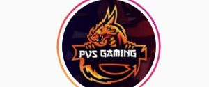 PVS Gaming