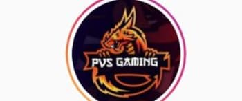 Influencer Marketing with PVS Gaming