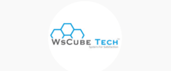 Influencer Marketing with WsCube Tech