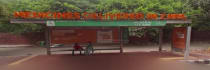 Bus Shelter - Hauz Khas New Delhi, 84209