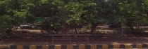 Bus Shelter - Kanahi Gurugram, 85035