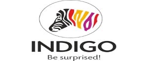 Brand - Indigo Paints