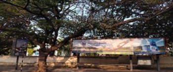 Advertising on Bus Shelter in Jayanagar  30473