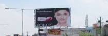 Hoarding -, Vrindavan Colony, Lucknow, 55505